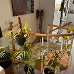 빌라 Au Calme Avec Jardin, Piscine Et Terrain Petanque A 5 Min Du Centre 님