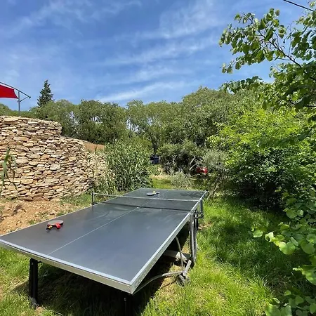 Au Calme Avec Jardin, Piscine Et Terrain Petanque A 5 Min Du Centre Nîmes