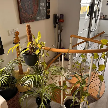 فيلة Au Calme Avec Jardin, Piscine Et Terrain Petanque A 5 Min Du Centre نيم