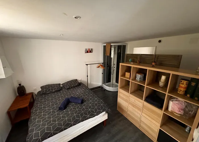 Au Calme Avec Jardin, Piscine Et Terrain Petanque A 5 Min Du Centre 빌라