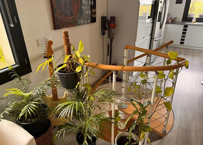 빌라 Au Calme Avec Jardin, Piscine Et Terrain Petanque A 5 Min Du Centre 님